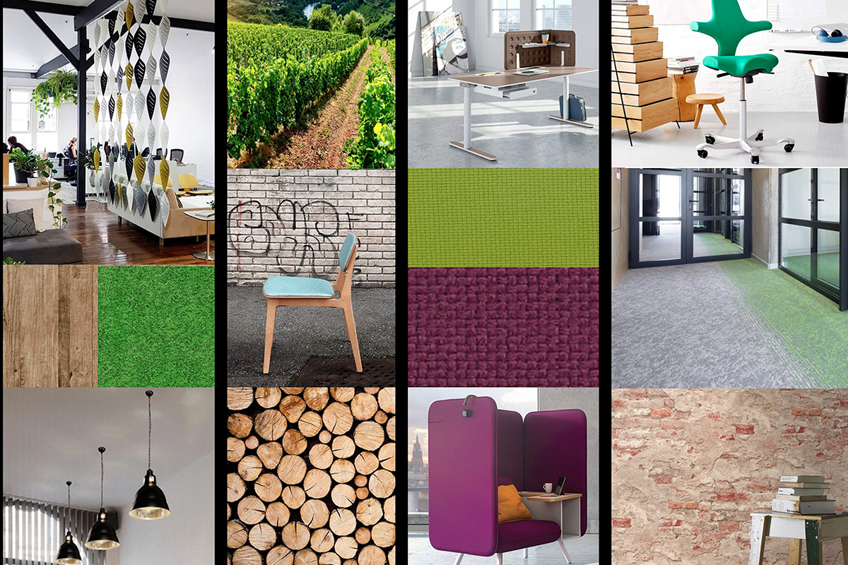 MP Rénovation de la Maison du Paysan à Lausanne. 