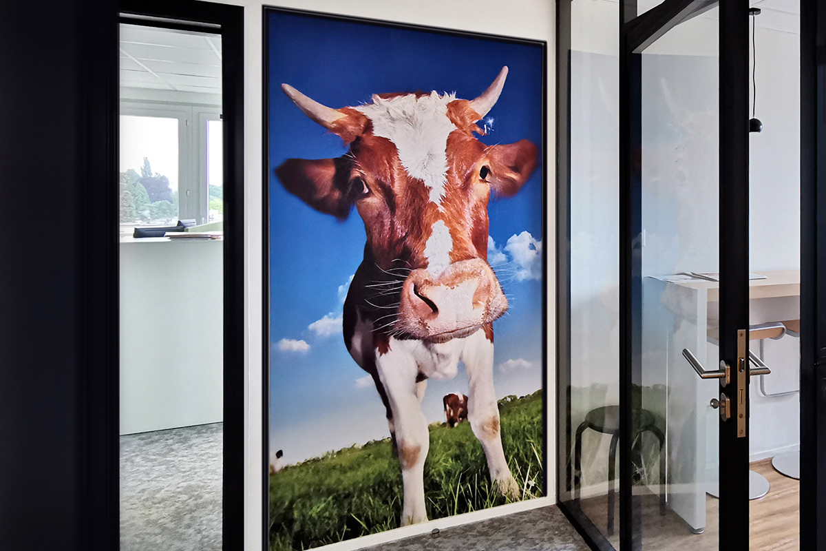 MP Rénovation de la Maison du Paysan à Lausanne. 